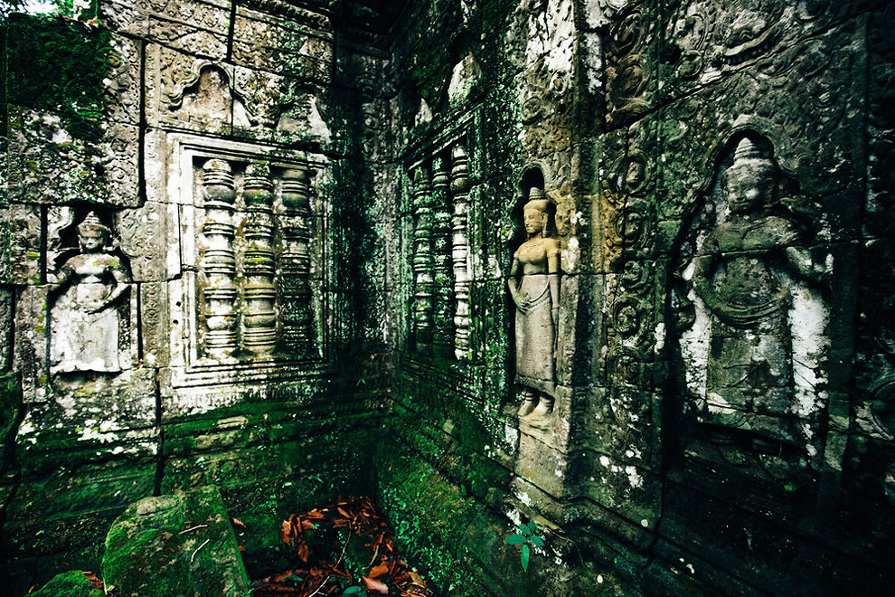 .. bntpal_1478087466_88