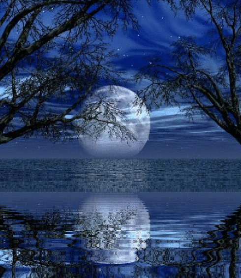  bntpal_1478128001_23