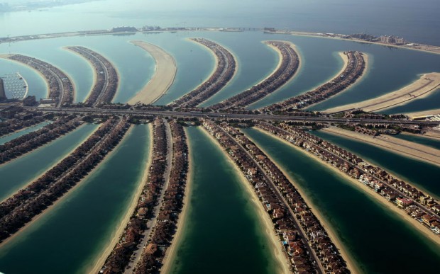 bntpal_1478201015_51