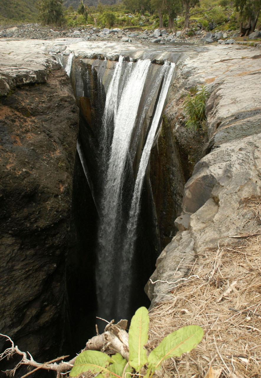 bntpal_1478434065_47