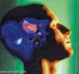 bntpal_1478436157_99