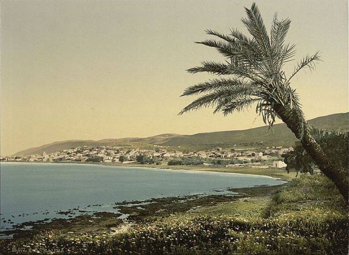 bntpal_1478503687_60