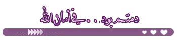 () ( bntpal_1478629439_93