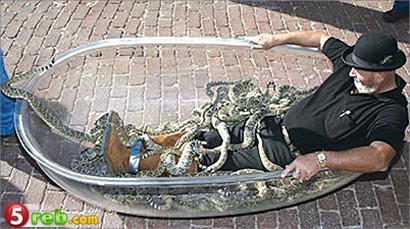 bntpal_1478721446_25
