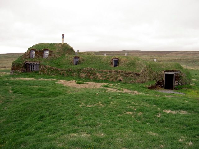   bntpal_1479230961_52