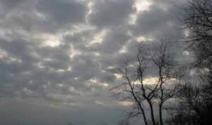    bntpal_1479373104_97