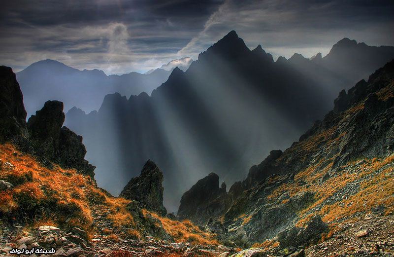 bntpal_1479423196_89