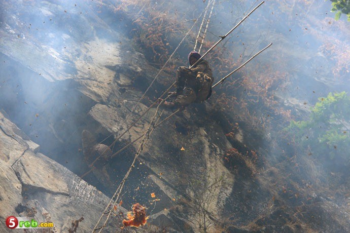 bntpal_1479504011_44