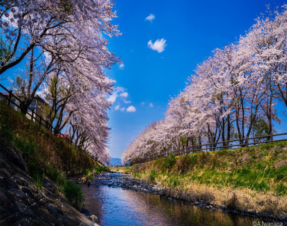 bntpal_1480349008_84