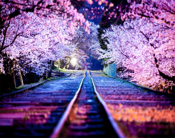 bntpal_1480349009_53