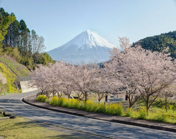 bntpal_1480349009_80