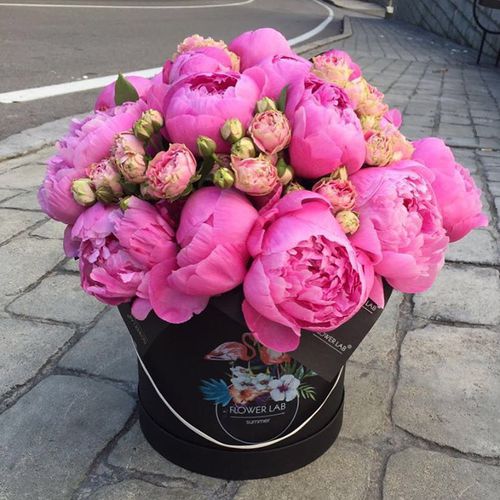     ❤~ bntpal_1480362067_11