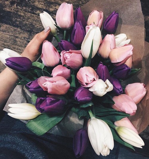     ❤~ bntpal_1480362067_17