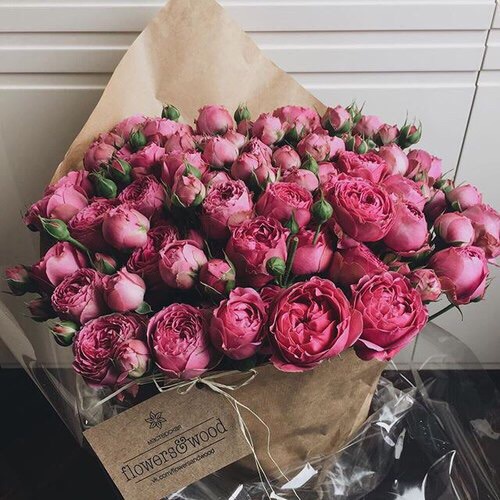     ❤~ bntpal_1480362067_55
