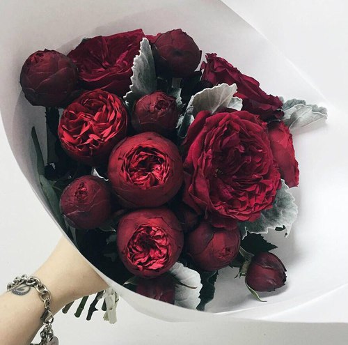     ❤~ bntpal_1480362068_39