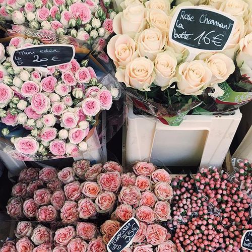     ❤~ bntpal_1480362068_40