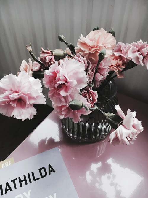     ❤~ bntpal_1480362068_41