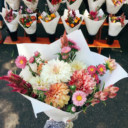     ❤~ bntpal_1480362068_61