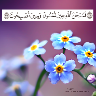 bntpal_1480521502_33