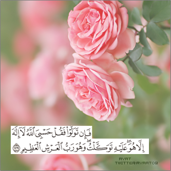 bntpal_1480521502_87