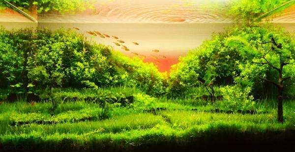 bntpal_1480679542_41