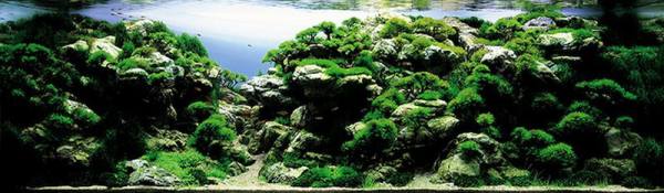 bntpal_1480679543_82
