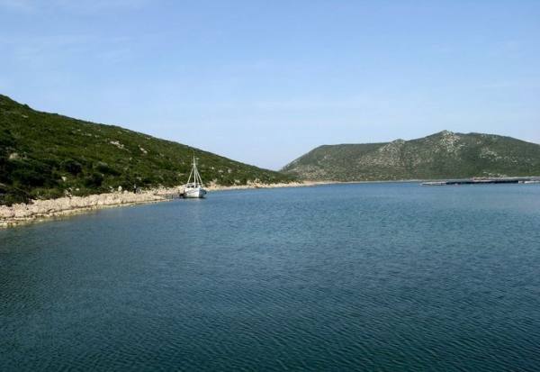 bntpal_1480679854_23
