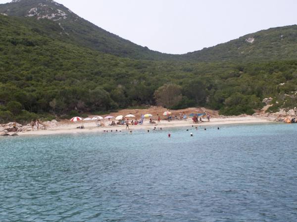 bntpal_1480679855_20