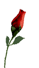 bntpal_1486200708_83