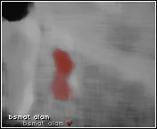 ~| bntpal_1486298055_79