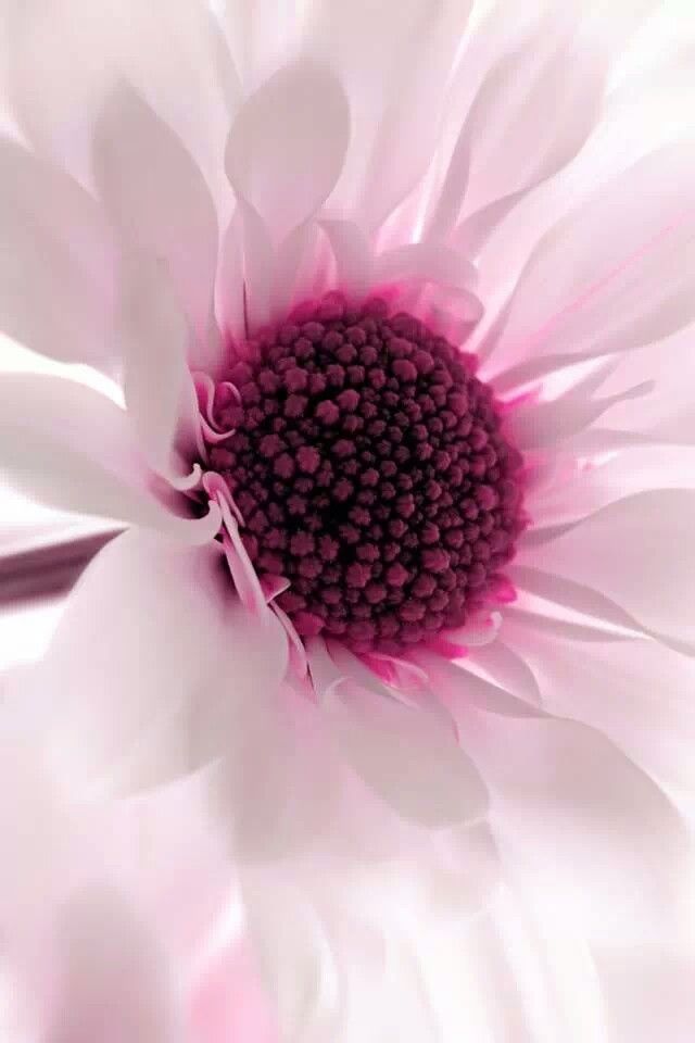 💜 bntpal_1487072006_41