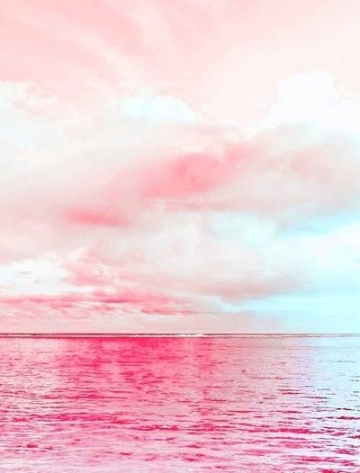 💜 bntpal_1487072006_48