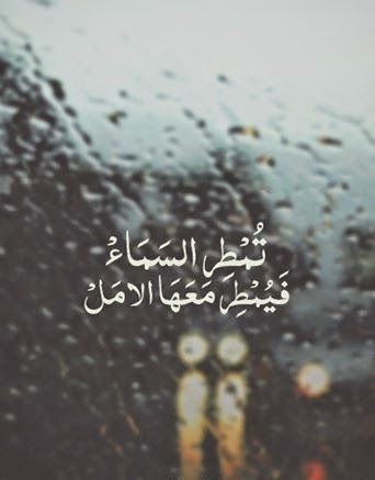  ❤ bntpal_1487192145_70