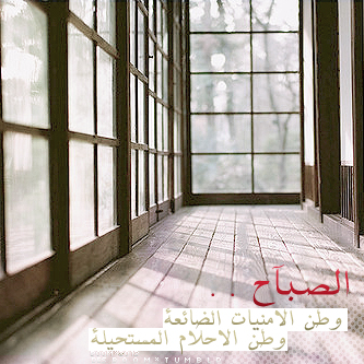 ❤ bntpal_1487333353_34
