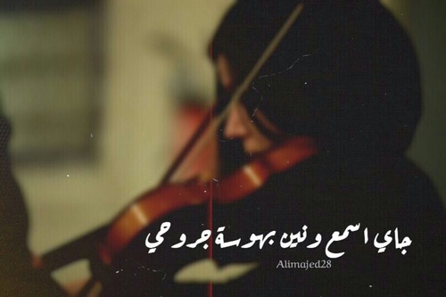 ❤ bntpal_1487577810_50