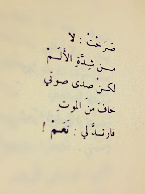  ❤ bntpal_1487577810_60