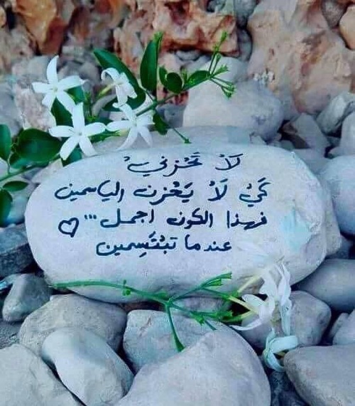  ❤ bntpal_1487577810_79