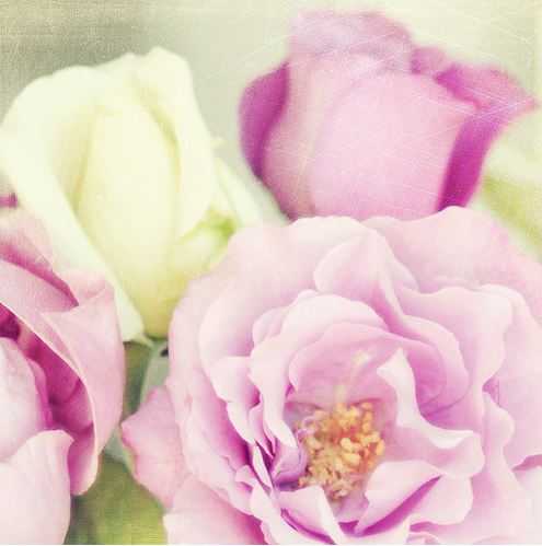 🌸 bntpal_1487757058_59