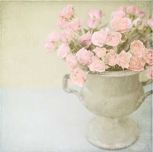 🌸 bntpal_1487757058_68