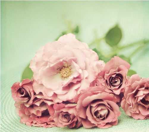 🌸 bntpal_1487757058_75