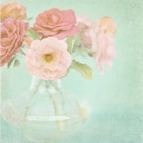 🌸 bntpal_1487757058_79