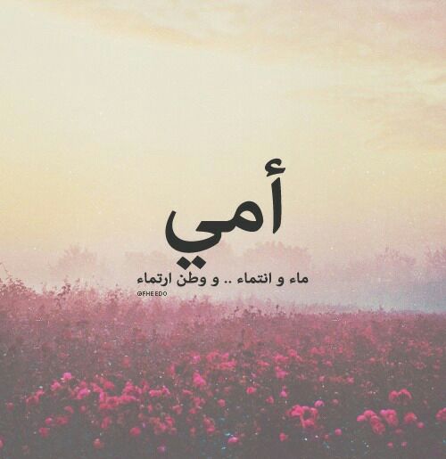  ❤ bntpal_1488040887_88