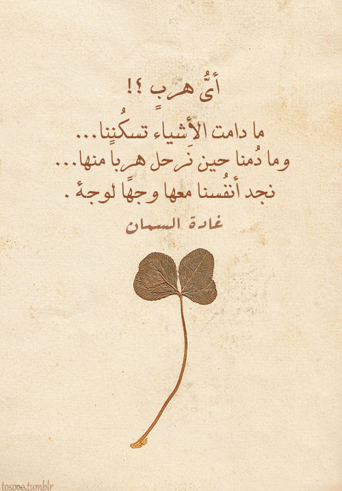 💔 bntpal_1488275235_26