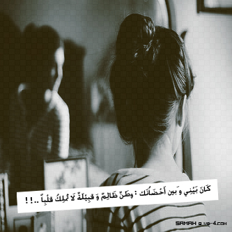 bntpal_1488275767_42