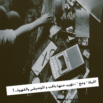 bntpal_1488275768_40