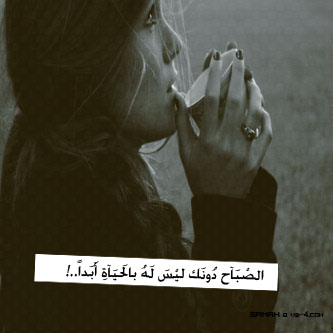 bntpal_1488275777_60