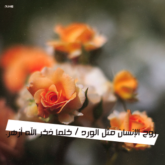  bntpal_1488276094_84
