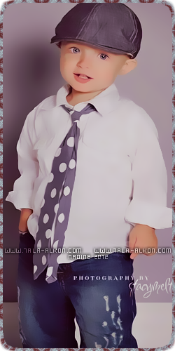 bntpal_1488480830_15