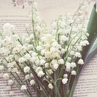  💜 bntpal_1488620733_86