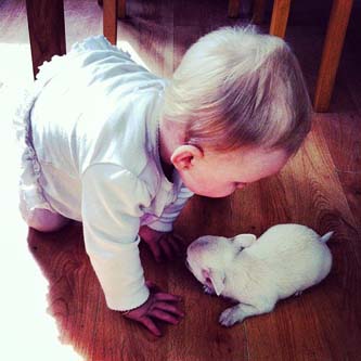  💜 bntpal_1488620735_73